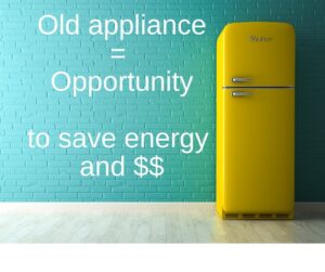 Downsized Refrigerator