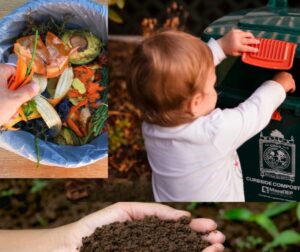Black Earth Compost Above and Beyond