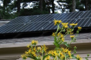 Solar for two reasons